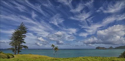 Lord Howe Island - NSW T (PBH4 00 11792)